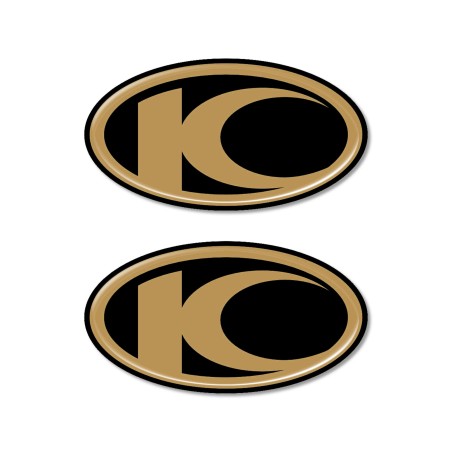 2 3D gel RESIN LOGO ADHESIVES kompatibel für Kymco Motorroller Schwarz-GOLD