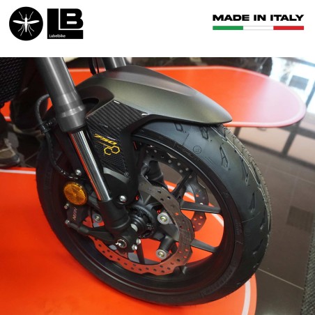 Adesivi 3D Protezioni parasteli parafango moto compatibili con Honda Hornet 2023-2024