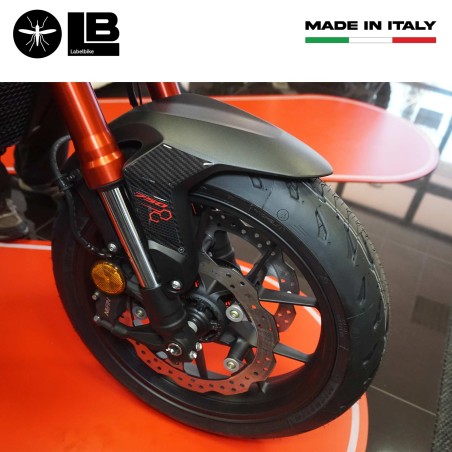 Adesivi 3D Protezioni parasteli parafango moto compatibili con Honda Hornet 2023-2024