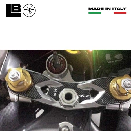 Adesivo Piastra Forcella Resina 3D compatibile Per Moto Kawasaki Zx-6r 2005-06