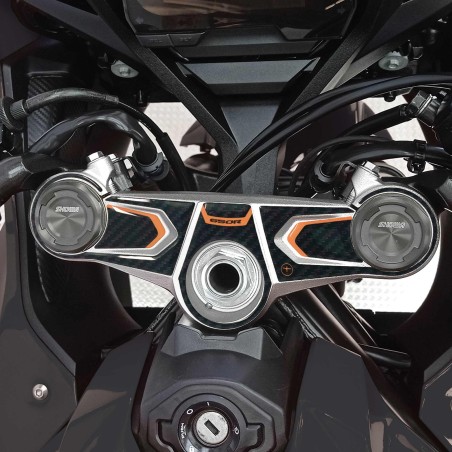Adesivo Protezione piastra forcella sterzo moto compatibile con Honda Cbr 650 r