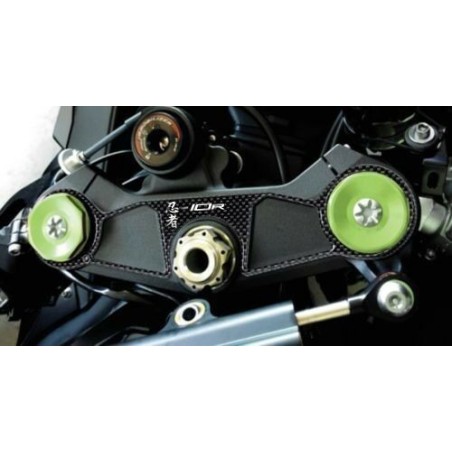 PROTEZIONE gel 3D PIASTRA FORCELLA compatibile per MOTO KAWASAKI ZX-10R dal 2016