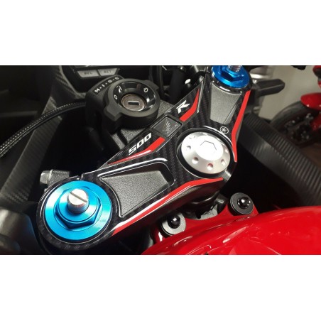 PROTEZIONE PIASTRA FORCELLA STERZO per MOTO CBR500R compatibile HONDA CBR 500 R 2019-2021