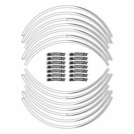 STRISCE ADESIVE compatibili per MOTO TRIUMPH adesivi CERCHI 17 stickers tuning