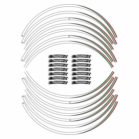 STRISCE ADESIVE compatibili per MOTO TRIUMPH adesivi CERCHI 17 stickers tuning