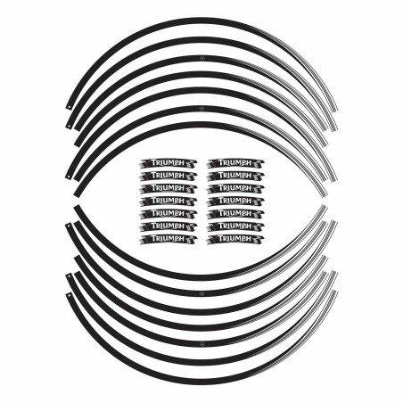 STRISCE ADESIVE compatibili per MOTO TRIUMPH adesivi CERCHI 17 stickers tuning