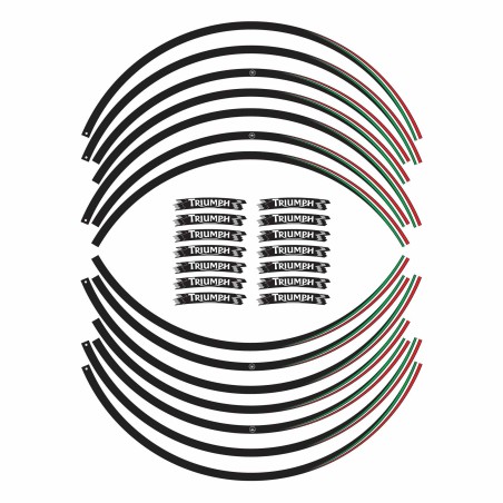 STRISCE ADESIVE compatibili per MOTO TRIUMPH adesivi CERCHI 17 stickers tuning