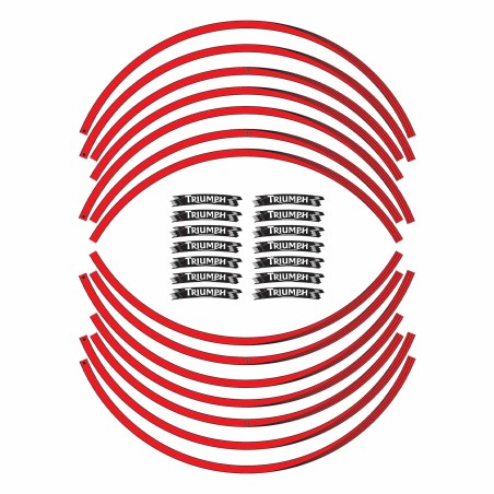 Strisce adesive compatibili per moto Triumph adesivi cerchi 17 stickers tuning