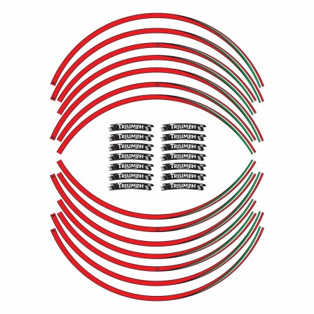 STRISCE ADESIVE compatibili per MOTO TRIUMPH adesivi CERCHI 17 stickers tuning