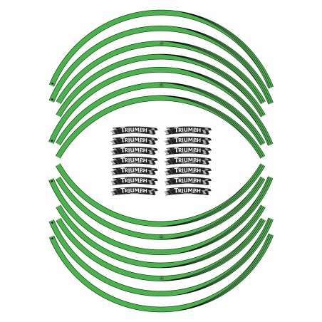 STRISCE ADESIVE compatibili per MOTO TRIUMPH adesivi CERCHI 17 stickers tuning
