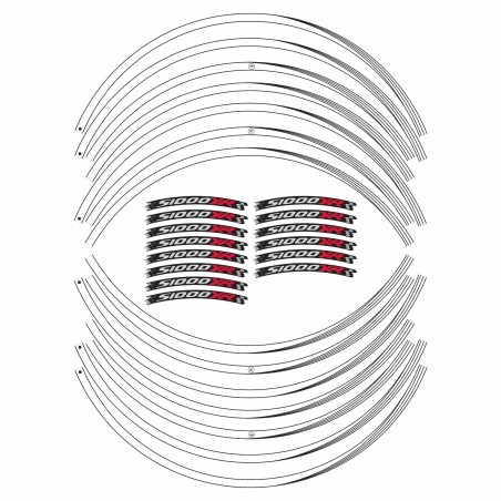 STRISCE ADESIVE compatibili per MOTO BMW S1000 XR adesivi CERCHI 17' tuning