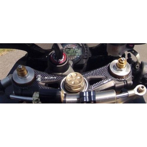 Placa de horquilla con protección de gel 3D compatible MOTO KAWASAKI ZX-10R 2004-2005