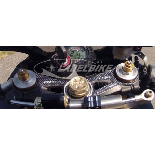 PROTECCIÓN GEL 3D PLACA DE HORQUILLA compatible MOTO KAWASAKI ZX-10R 2004-2005