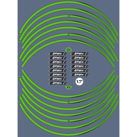 TIRAS ADHESIVAS - Hilos para 17 LLANTAS compatibles con MOTOCICLETAS KAWASAKI ninja VERDE