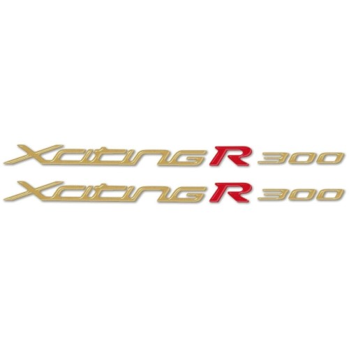 2 ADESIVI in GEL 3D COPPIA SCRITTE XCITING R 300 compatibili per Scooter KYMCO