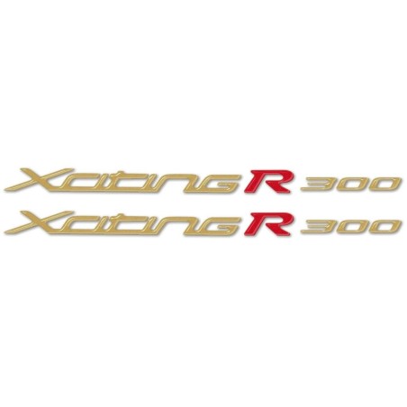 2 ADESIVI in GEL 3D COPPIA SCRITTE XCITING R 300 compatibili per Scooter KYMCO