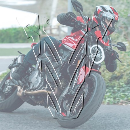 PARASERBATOIO TRASPARENTE ADATTO per MOTO DUCATI MONSTER 696 ADESIVI RESINATI 3D
